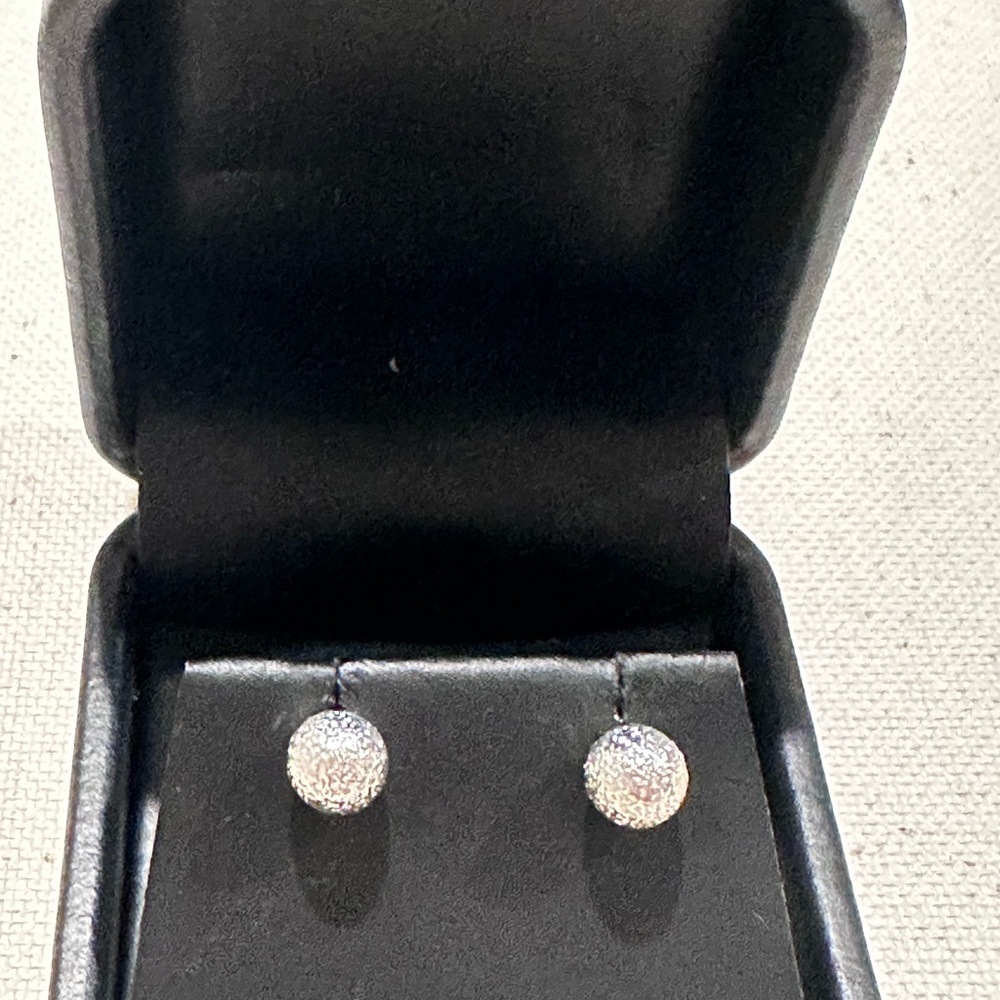 Elegant Silver Stud Earrings